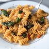 So Fresh! Tomato Basil Garlic Fusilli