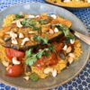 Cut Fat! Melting Aubergine Curry Without Coconut Milk