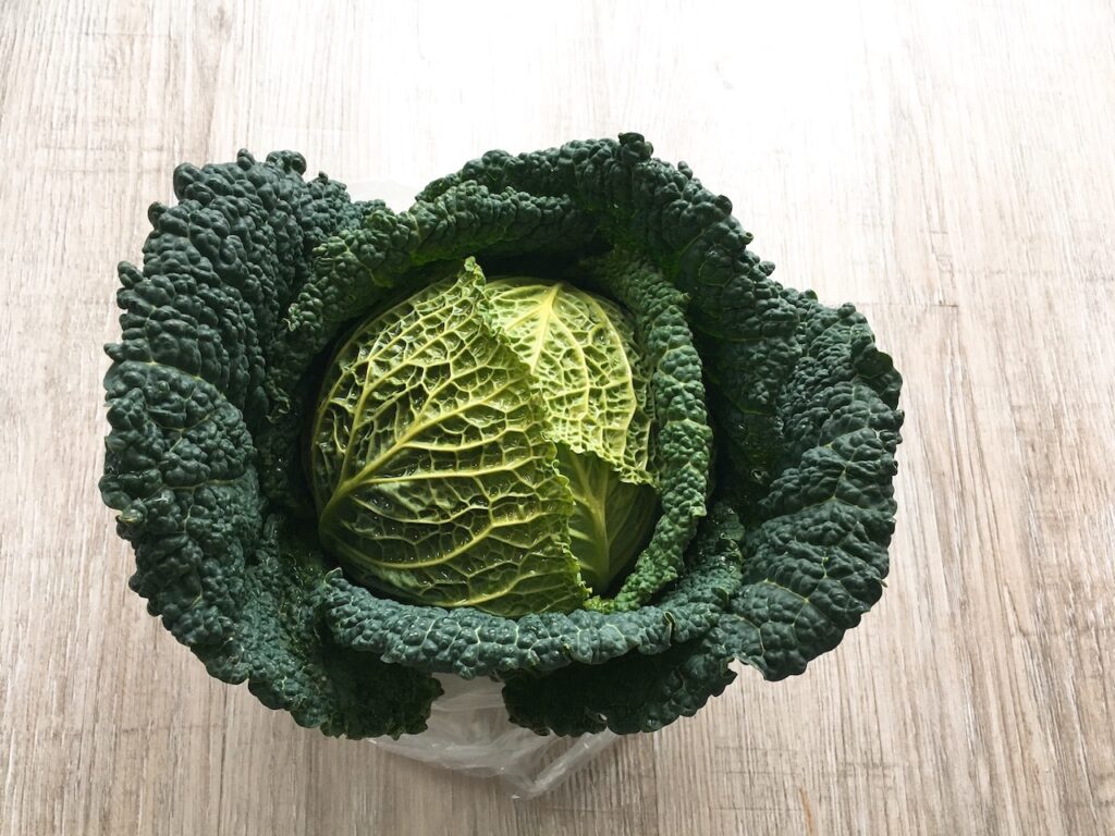 Savoy cabbage.