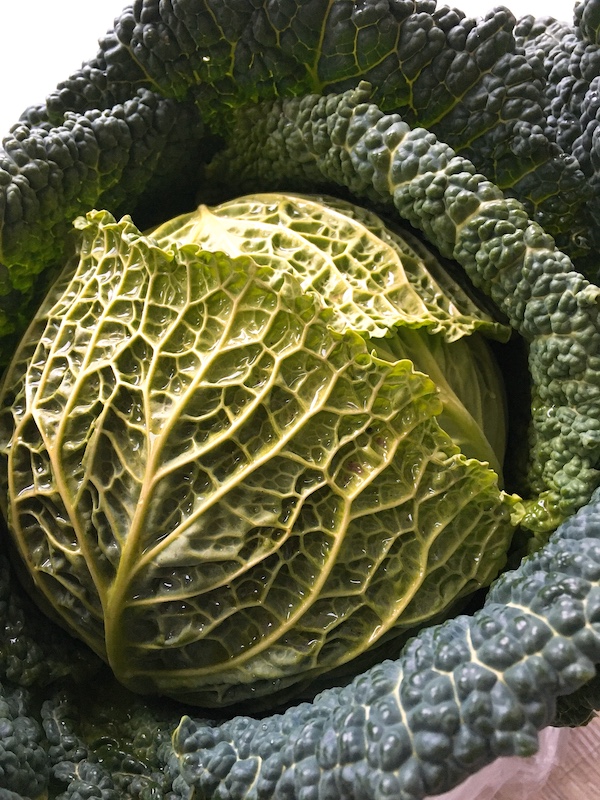 A close-up of savoy cabbage.