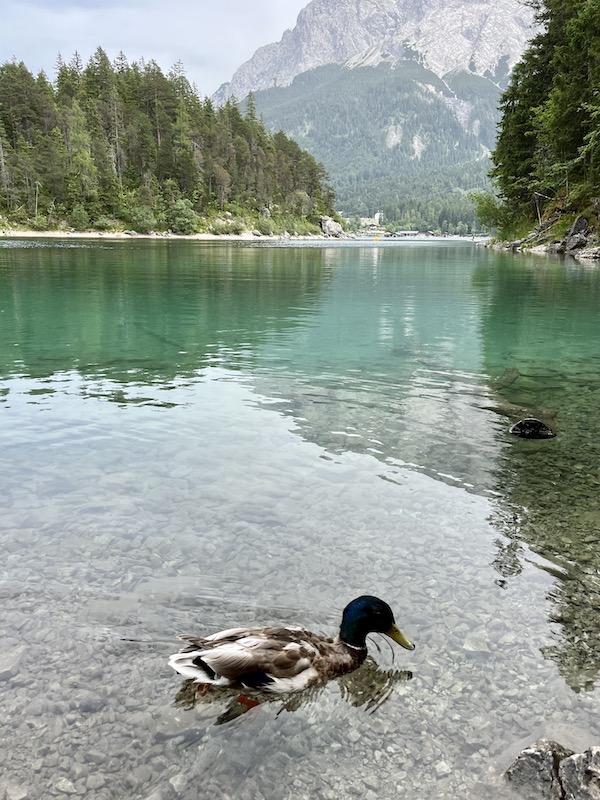 Eibsee in Garmisch Partenkirchen.