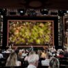 The Lion King and Bristol Hippodrome Seat Plan Review