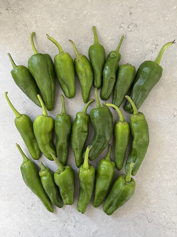 About 20 pieces in a pack of 150 g Padron pepper