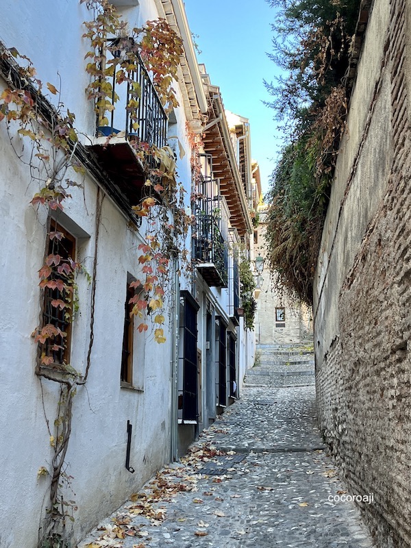 Narrow alley in Granada.