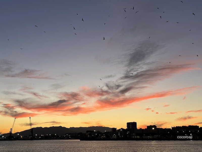 Sunset in Málaga.