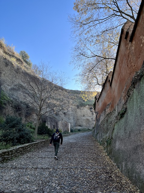 Climbing up on a slope to Alhambra.