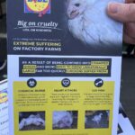 Open Cage leaflet about Lidl's chicken.