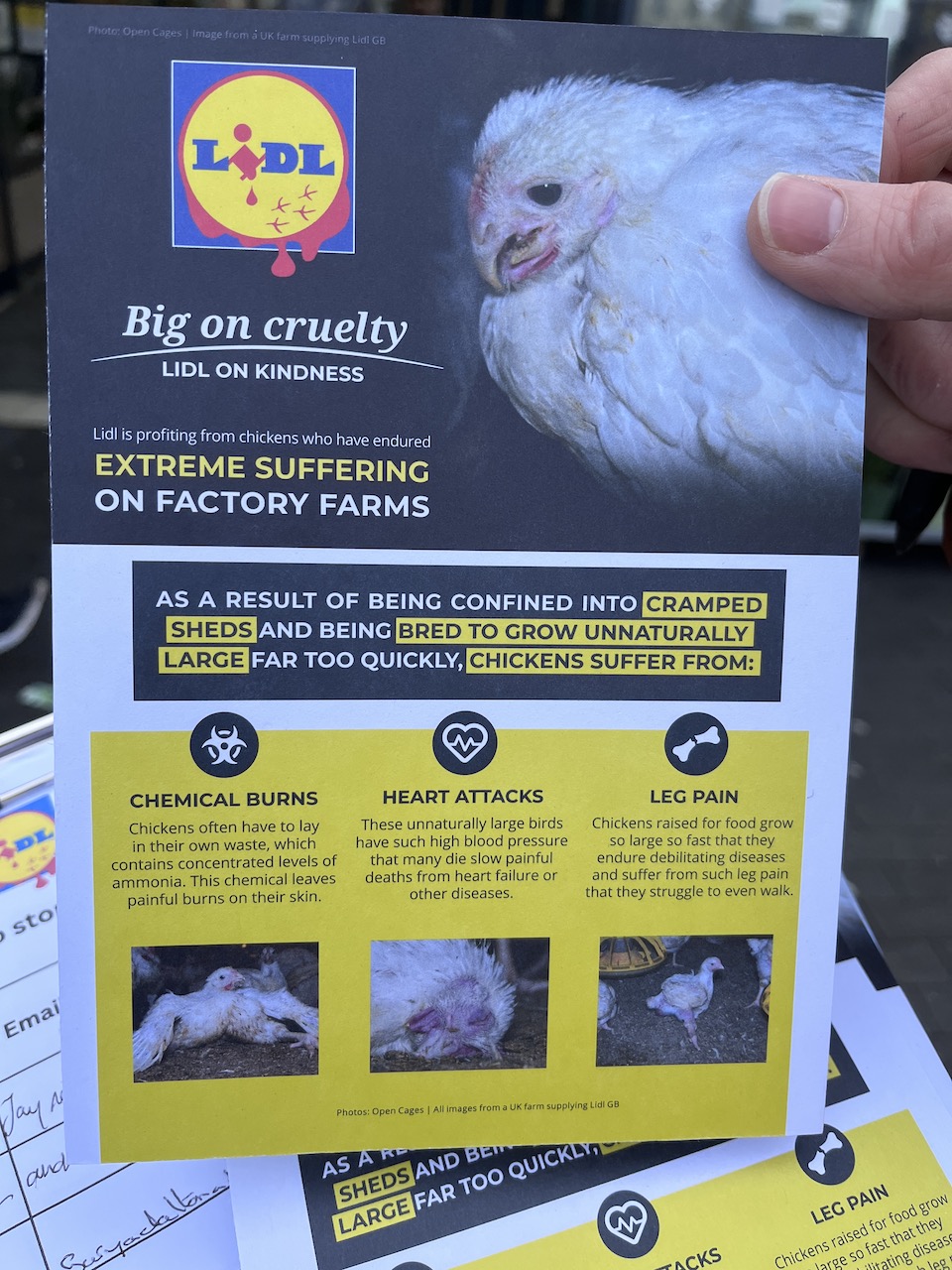 Open Cage leaflet about Lidl's chicken.