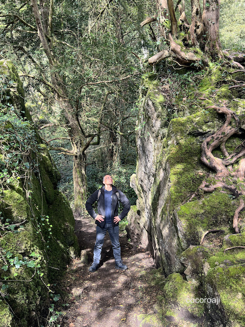 Eagle's Nest walk in Wye Valley.