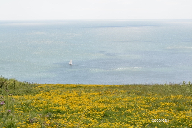 Stunning seaview on Isle of Wight.