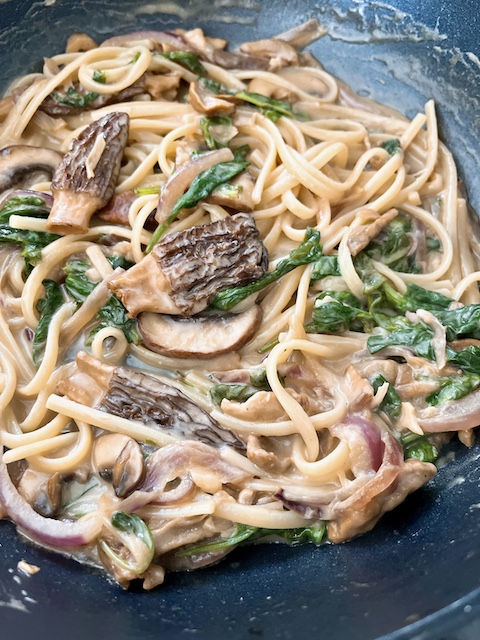 Porcini and morel pasta.