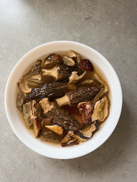 Rehydrating dried porcini and morel.