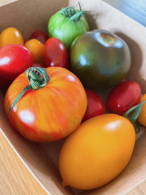 Heritage tomatoes from Isle of Wight.