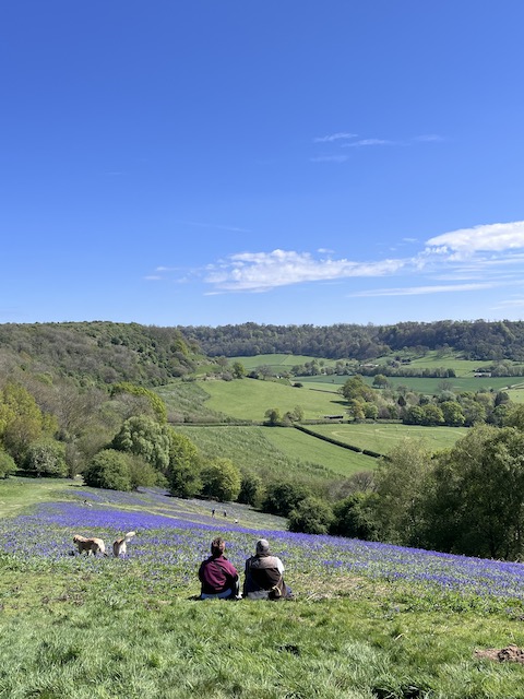 Enjoying bluebell on Cam Peak.