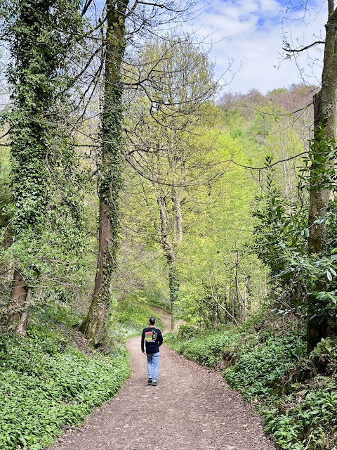Walking in Woodchester Park.