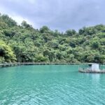 Nine frogs trail in sun moon lake.