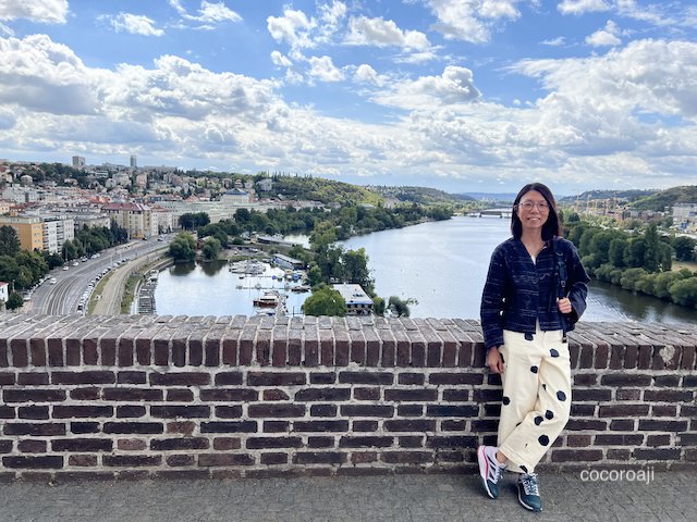 Scenic view from Vyšehrad.